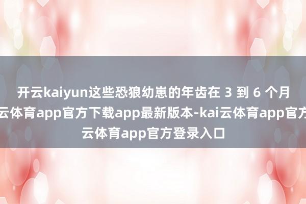 开云kaiyun这些恐狼幼崽的年齿在 3 到 6 个月之间-kai云体育app官方下载app最新版本-kai云体育app官方登录入口