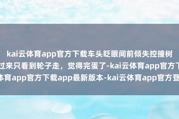 kai云体育app官方下载车头眨眼间前倾失控撞树，司机：东说念主倒过来只看到轮子走，觉得完蛋了-kai云体育app官方下载app最新版本-kai云体育app官方登录入口