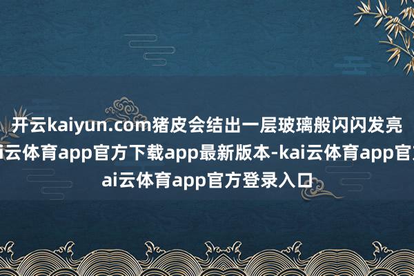 开云kaiyun.com猪皮会结出一层玻璃般闪闪发亮的胶质-kai云体育app官方下载app最新版本-kai云体育app官方登录入口