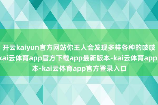 开云kaiyun官方网站你王人会发现多样各种的吱吱作响的玩物-kai云体育app官方下载app最新版本-kai云体育app官方登录入口