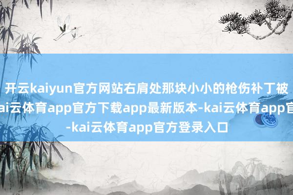 开云kaiyun官方网站右肩处那块小小的枪伤补丁被柔光掩去-kai云体育app官方下载app最新版本-kai云体育app官方登录入口