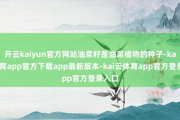 开云kaiyun官方网站油菜籽是油菜植物的种子-kai云体育app官方下载app最新版本-kai云体育app官方登录入口